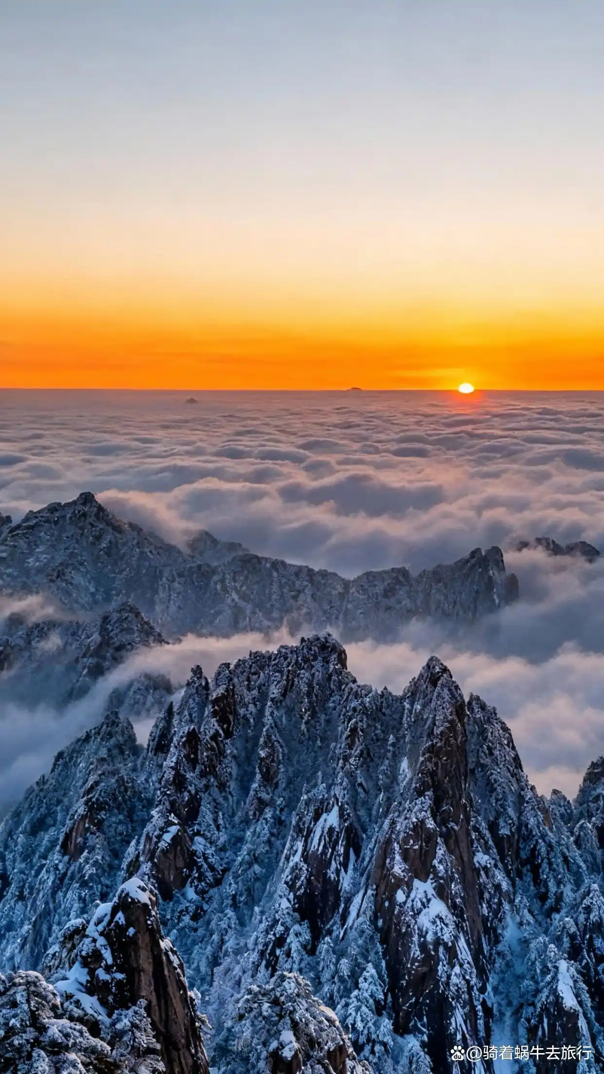 答应我，冬天一定要去黄山看雾凇和云海！