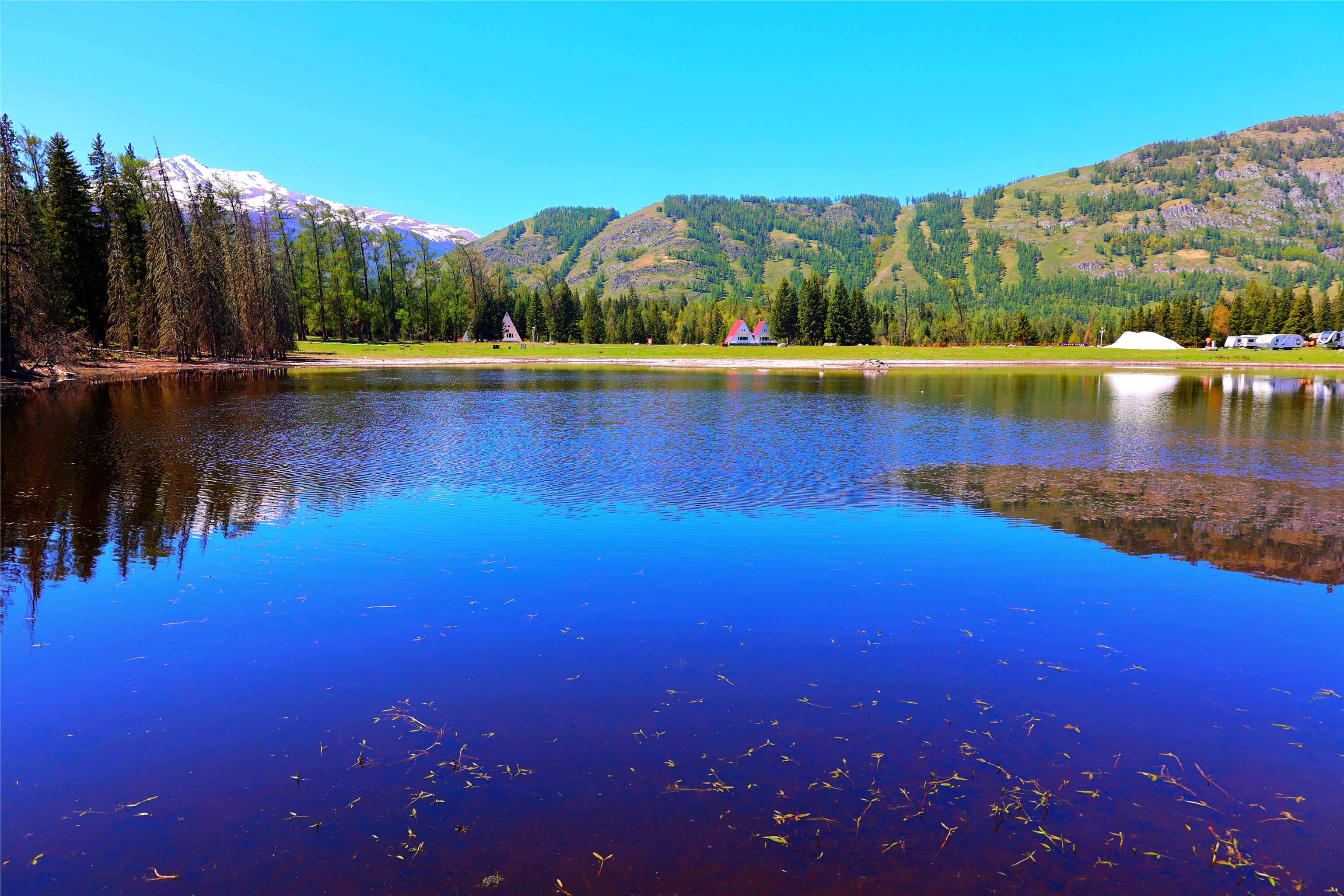 小石榴说科普·山水林田湖草沙之湖②丨为什么说喀纳斯湖是神奇的"变色湖"？