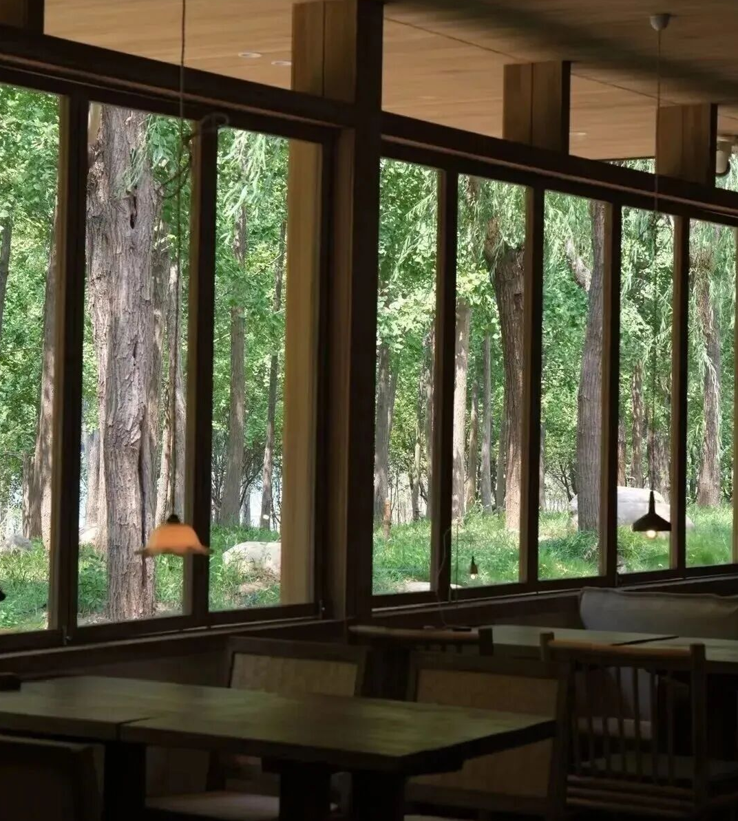 免费逛！郑州这9条特色街区，值得反复打卡→