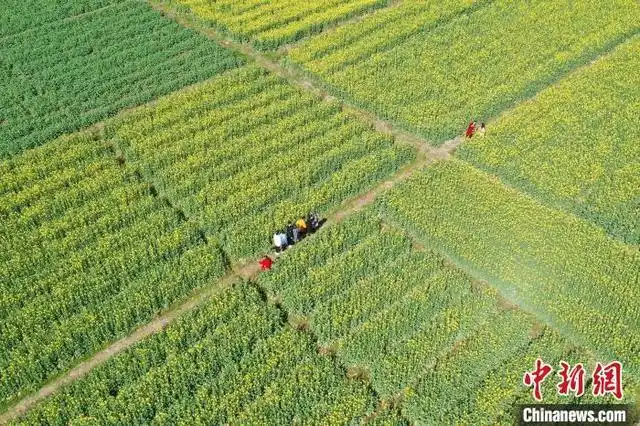 春节假期江西接待游客超2539万人次 实现旅游收入144.76亿元