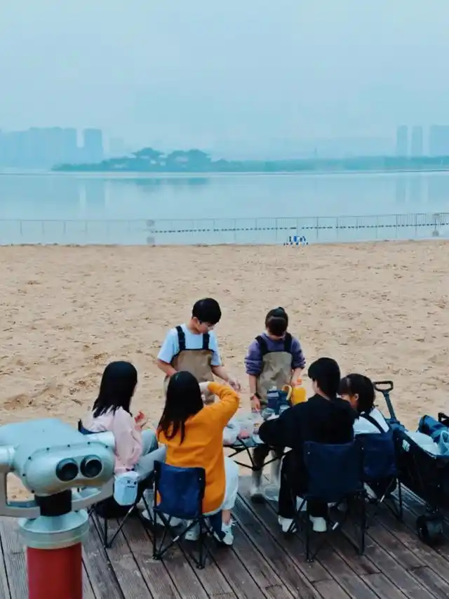 速报！长沙这个地方银杏浓度达100%，赏芦苇、砍甘蔗，遛娃惊喜超多