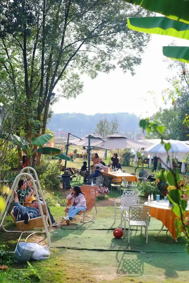 速报！长沙这个地方银杏浓度达100%，赏芦苇、砍甘蔗，遛娃惊喜超多