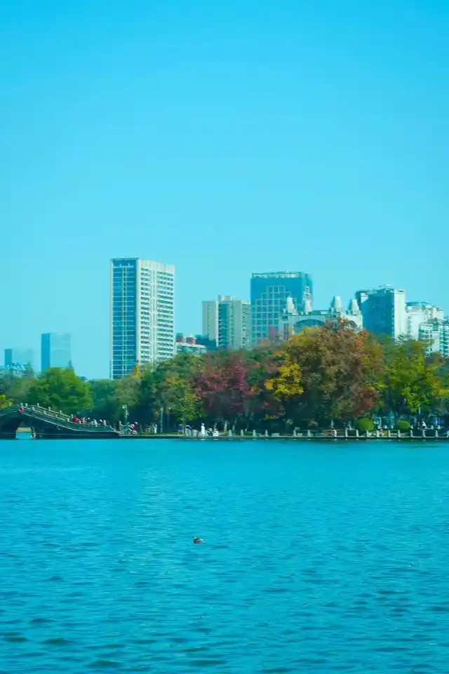 速报！长沙这个地方银杏浓度达100%，赏芦苇、砍甘蔗，遛娃惊喜超多