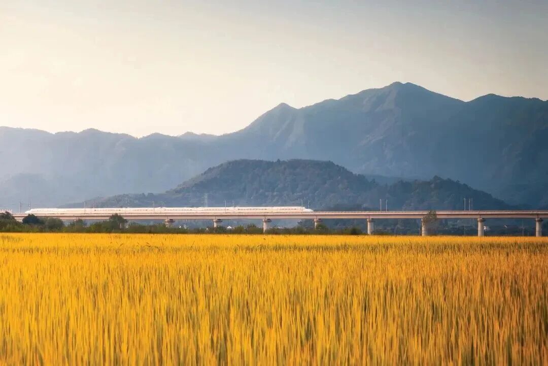 一票多坐更划算！15天畅游长三角，高铁旅游计次票来啦