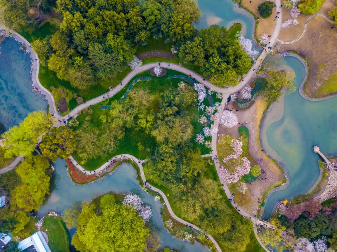 杭州6个值得一去的免费景点，好玩不花钱，拍照超出片，0元游杭州！