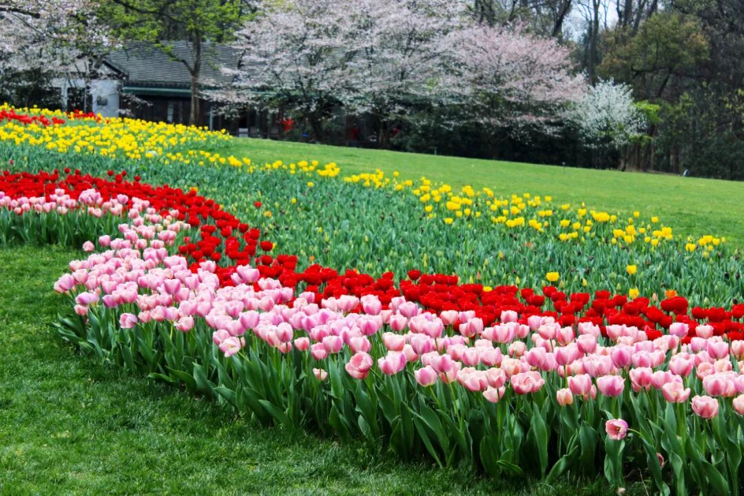 杭州6个值得一去的免费景点，好玩不花钱，拍照超出片，0元游杭州！