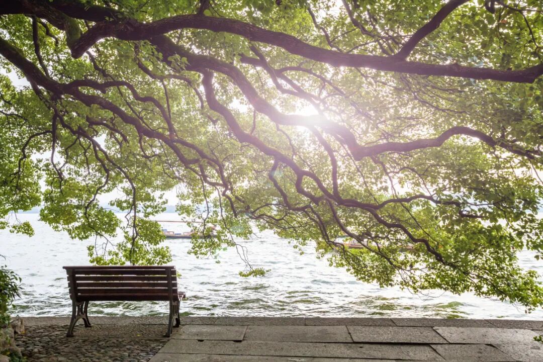 杭州6个值得一去的免费景点，好玩不花钱，拍照超出片，0元游杭州！