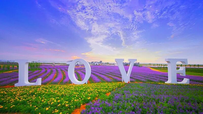 国家级旅游度假区+1，惬意度假周末就出发！