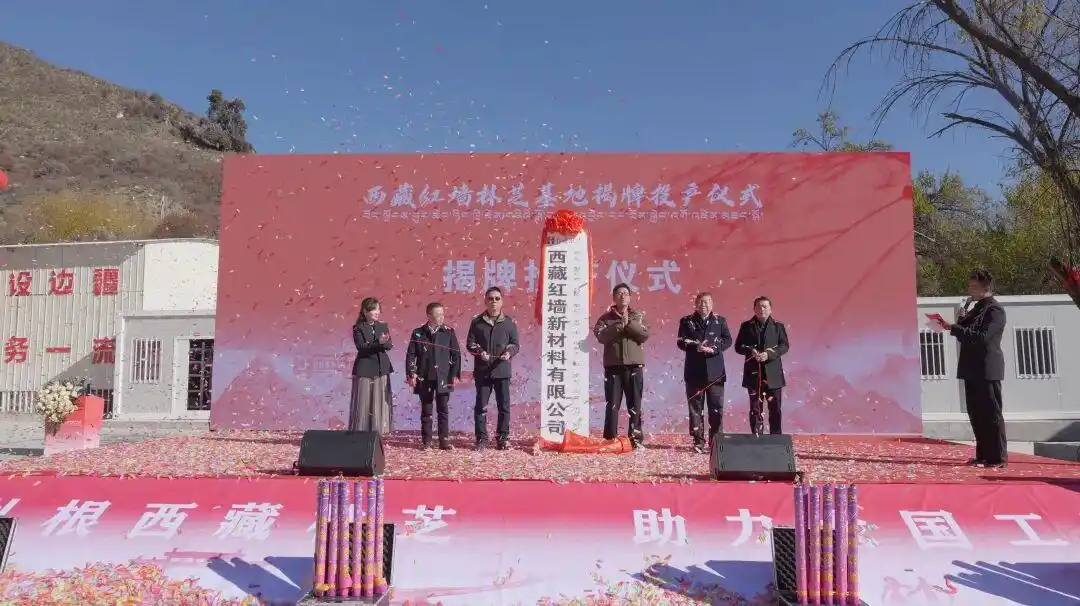 西藏红墙正式投产强强联合服务重大工程保供