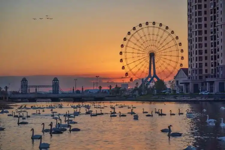 场景革命：威海千里山海自驾旅游公路的创新与迭代