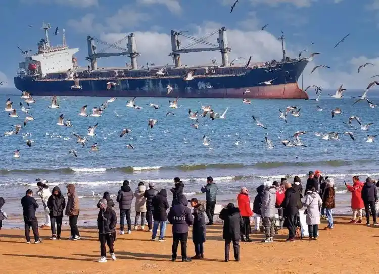 场景革命：威海千里山海自驾旅游公路的创新与迭代