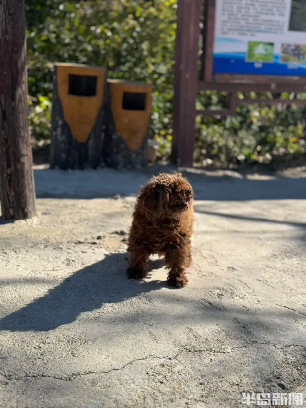 青岛宝藏海岛｜游客爆炸式增长，昔日偏远小岛变身旅游胜地