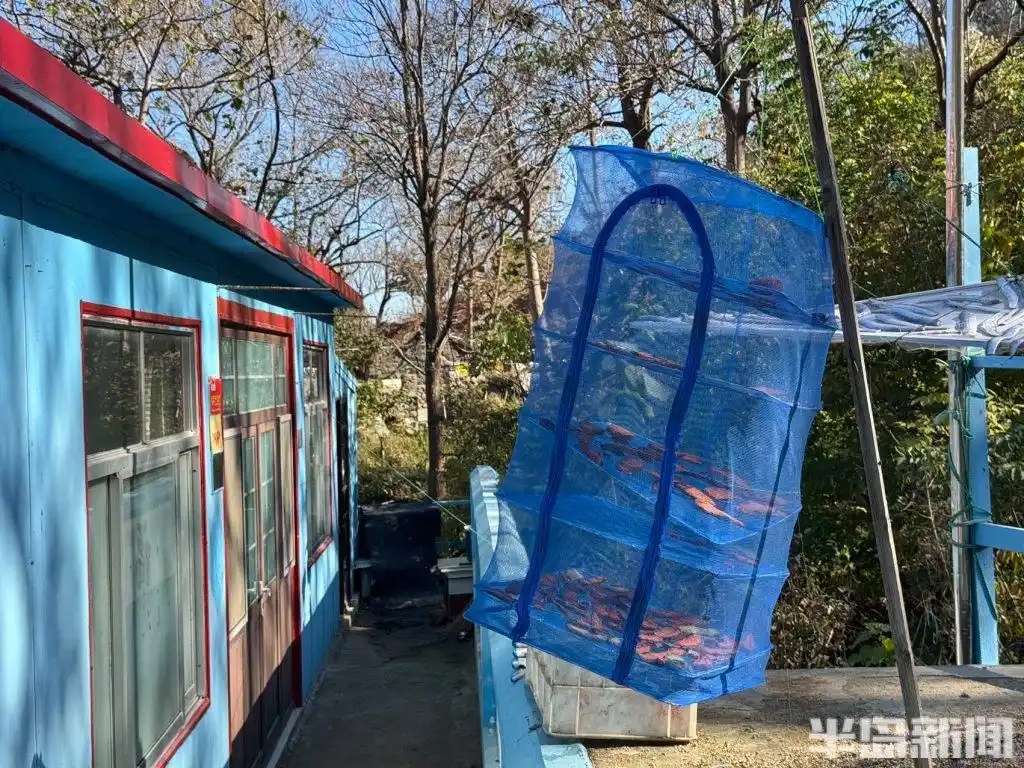 青岛宝藏海岛｜游客爆炸式增长，昔日偏远小岛变身旅游胜地