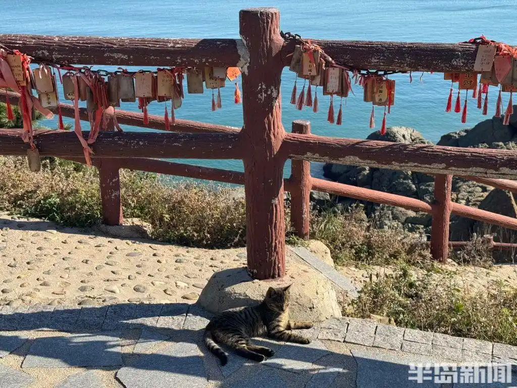 青岛宝藏海岛｜游客爆炸式增长，昔日偏远小岛变身旅游胜地