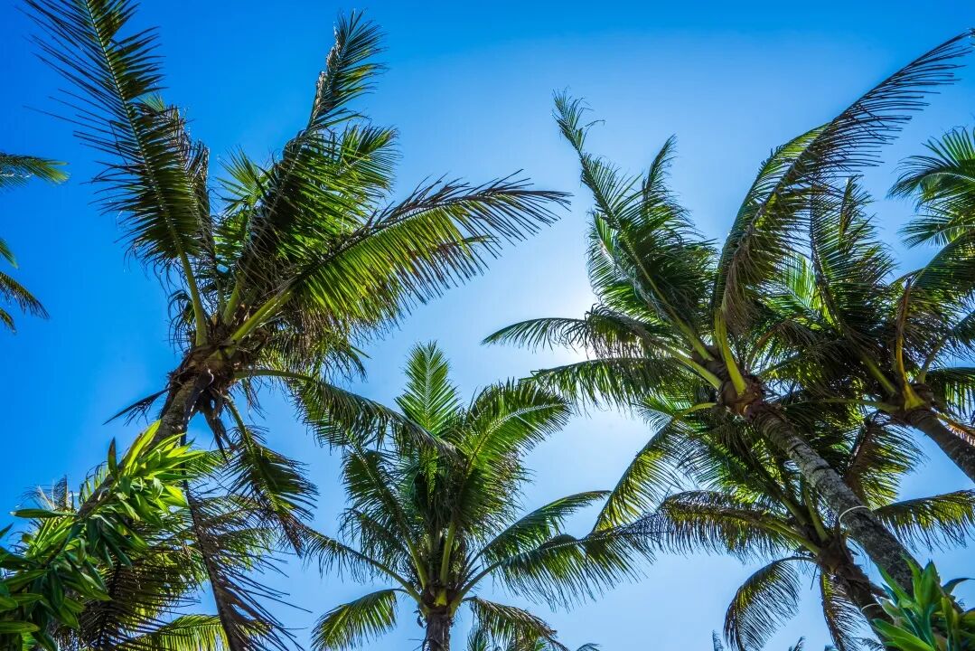 海岛安心游，背后有“秘方”