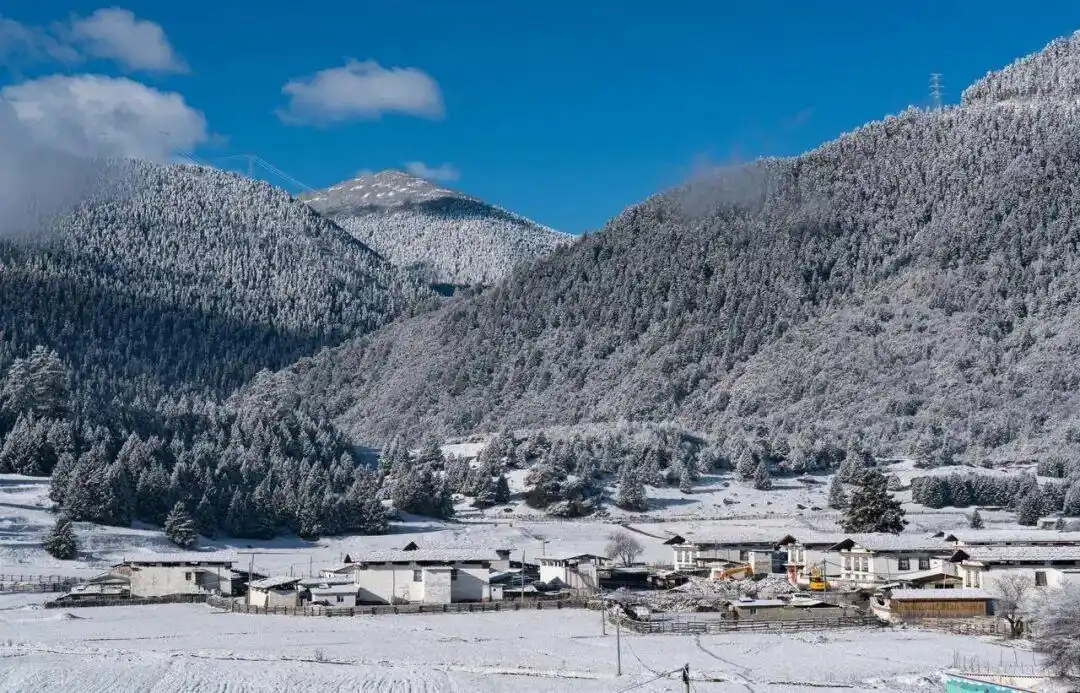 12月-3月，淡季旅行——西藏-林芝