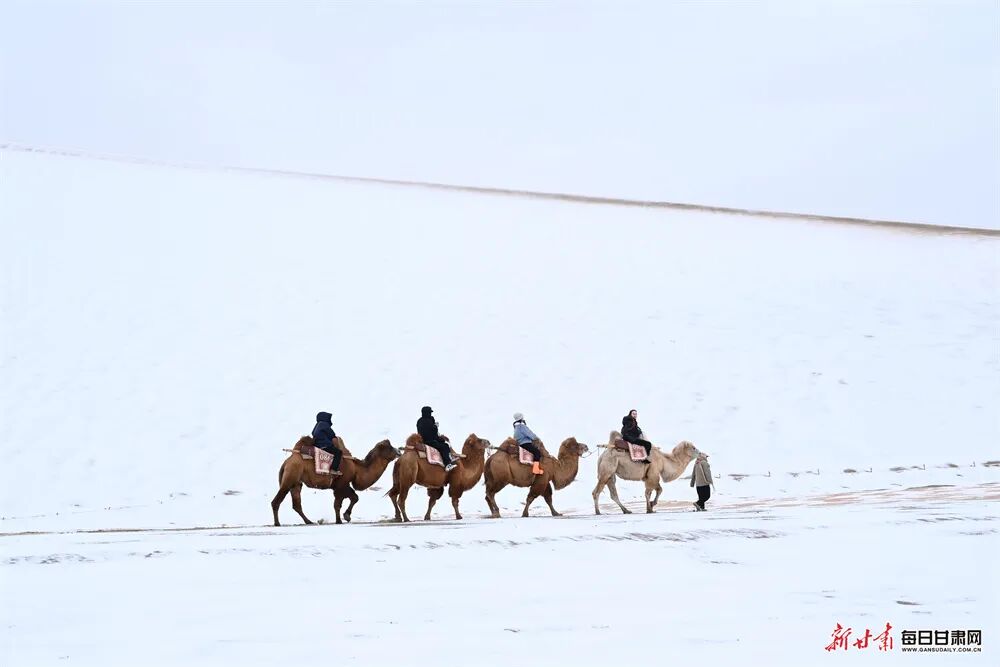 敦煌大漠裹银装 月牙泉畔赏冬韵