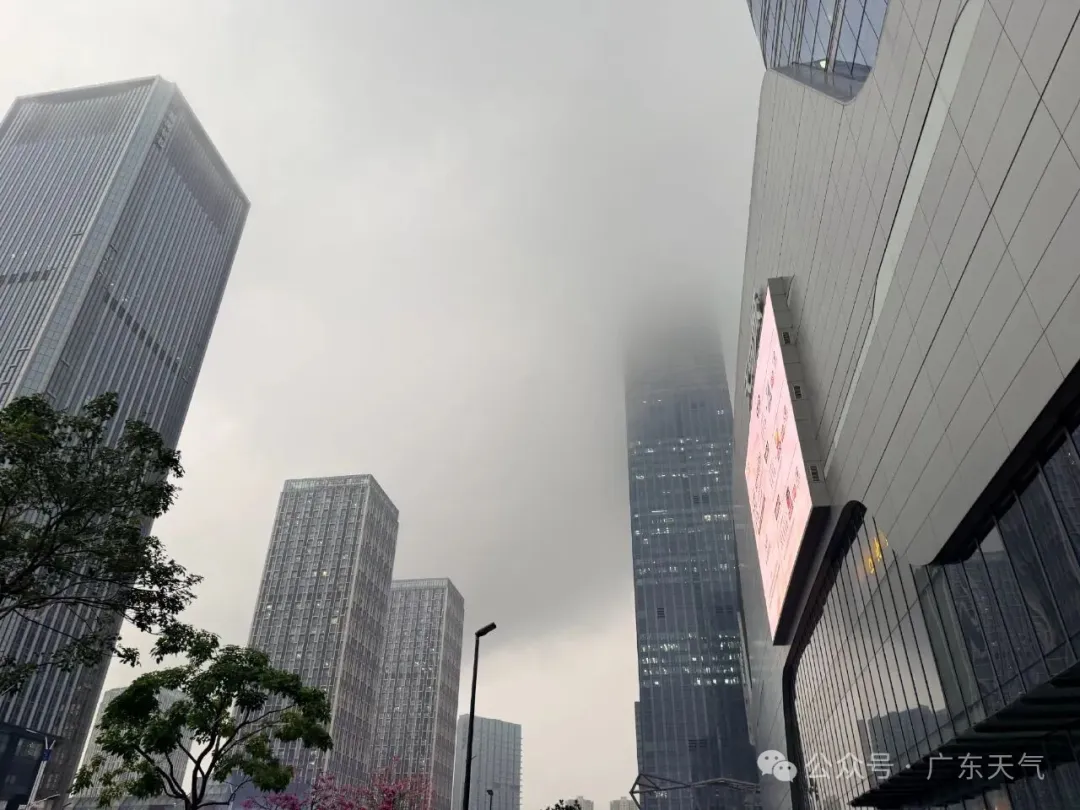 4-6日广东大部有阳光 早晚寒凉