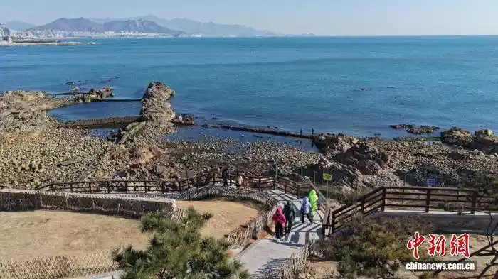 冬日飞“阅”山东“网红海岛” 咖吧民宿拉满治愈感