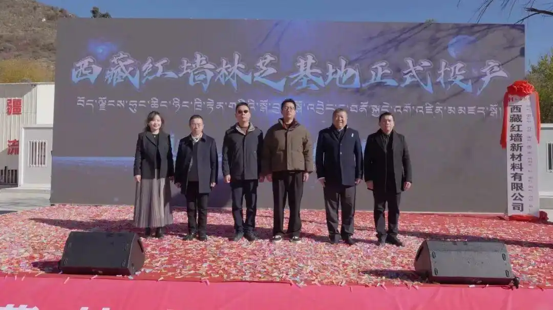 西藏卫视《今晚9点》新闻栏目特别播出西藏红墙林芝基地投产新闻