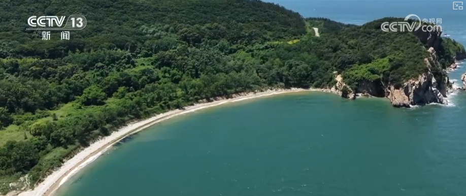 新赛道、新场景激活海岛旅游新活力 这份暑期深度玩海攻略请收好↓