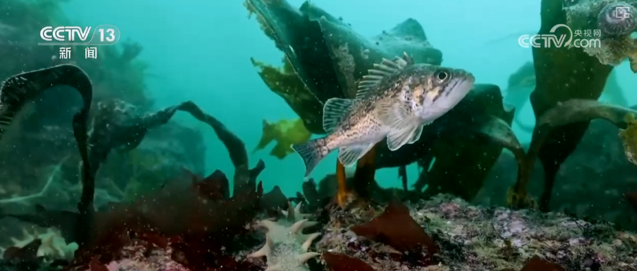 新赛道、新场景激活海岛旅游新活力 这份暑期深度玩海攻略请收好↓