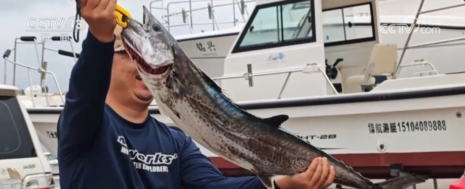 新赛道、新场景激活海岛旅游新活力 这份暑期深度玩海攻略请收好↓