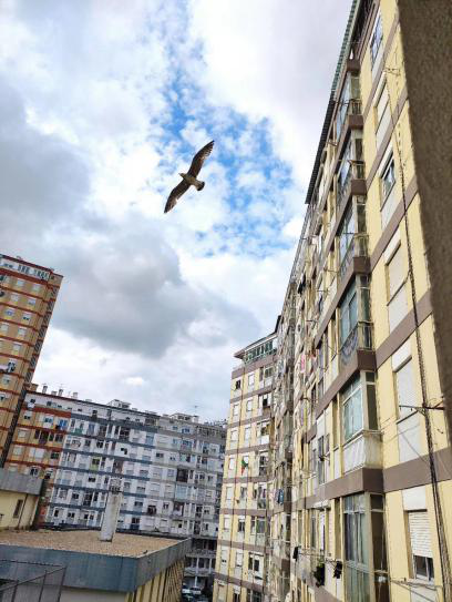 吴姣：疫情之下，中国导游的“葡萄牙春节”