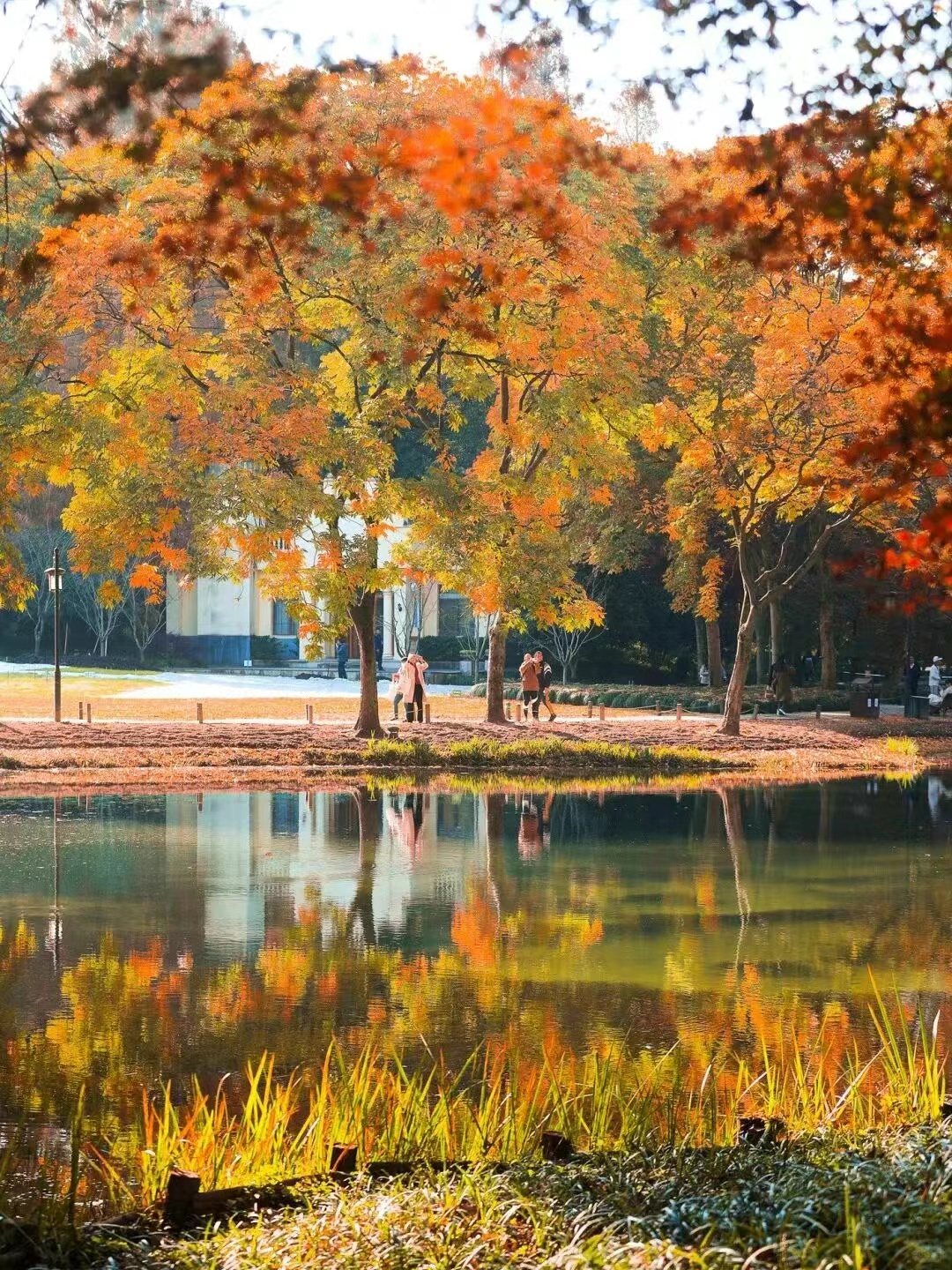 15日畅游长三角“随心乘”！怎么玩？有哪些线路？“薅羊毛”攻略来啦～
