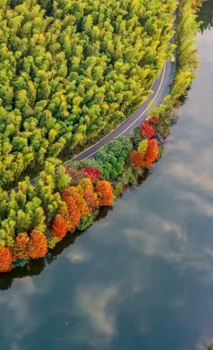 15日畅游长三角“随心乘”！怎么玩？有哪些线路？“薅羊毛”攻略来啦～