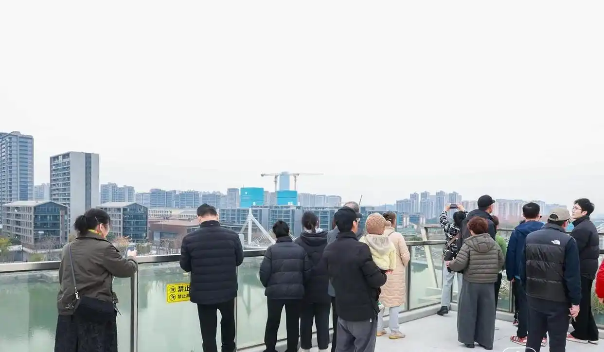 周末打卡运河文化广场，一站式体验“舌尖上的共富”