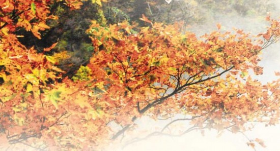 六安快进慢游的高品质度假之旅