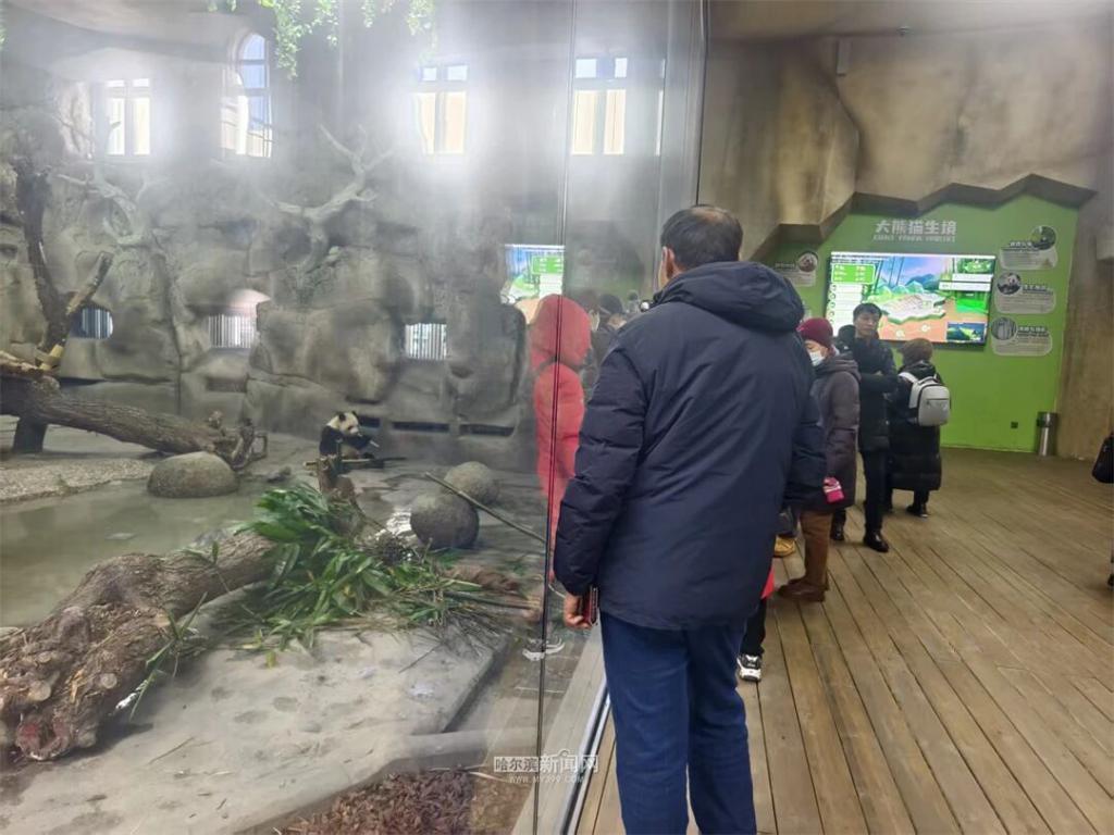 福利提前知！雪博会门票一价全含