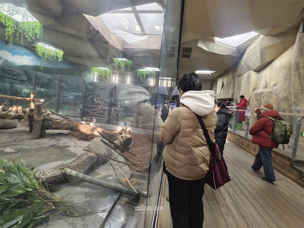 福利提前知！雪博会门票一价全含