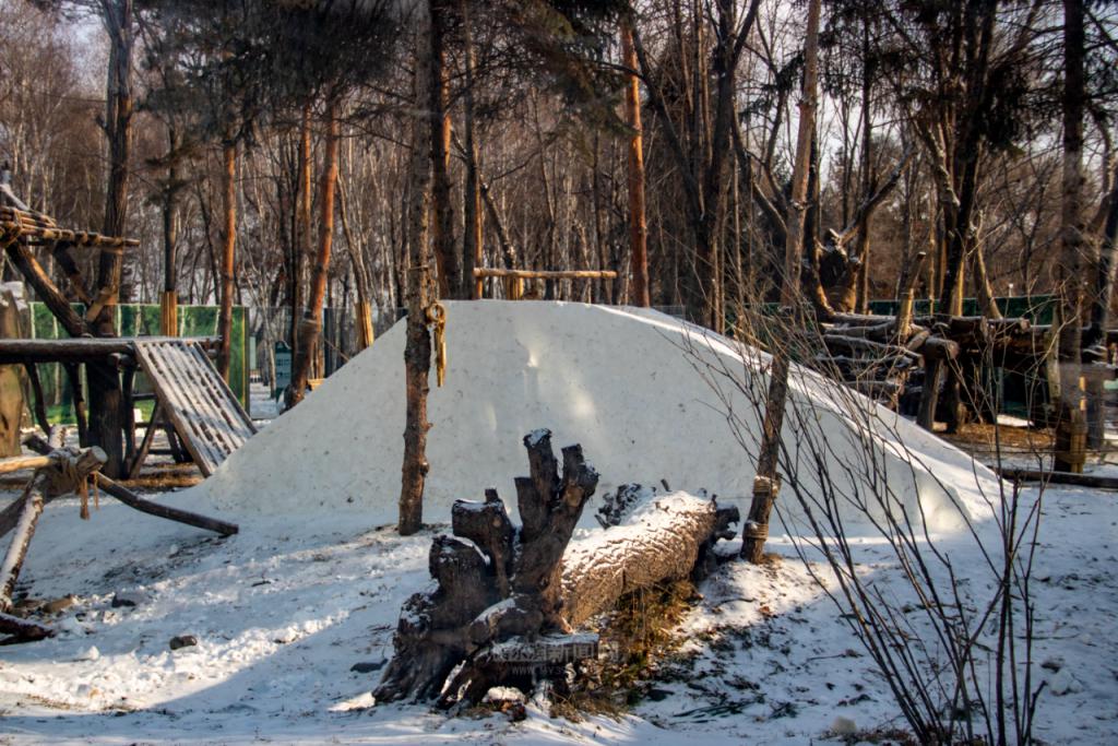 福利提前知！雪博会门票一价全含