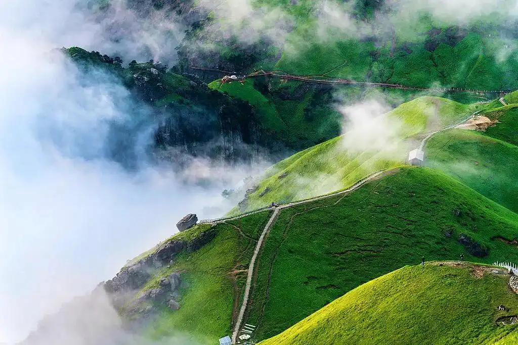 免票或半价！一大波景区优惠来了！