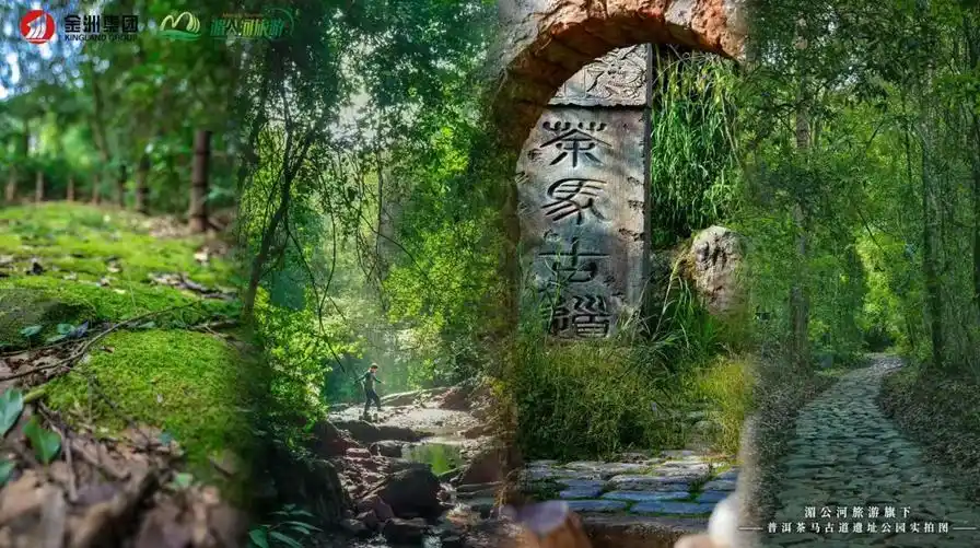 共绘新蓝图｜湄公河旅游参加“滇西南协同·航旅创未来”航旅融合专项活动