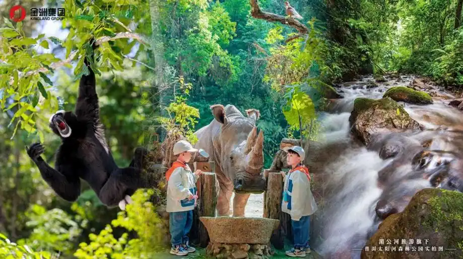 共绘新蓝图｜湄公河旅游参加“滇西南协同·航旅创未来”航旅融合专项活动