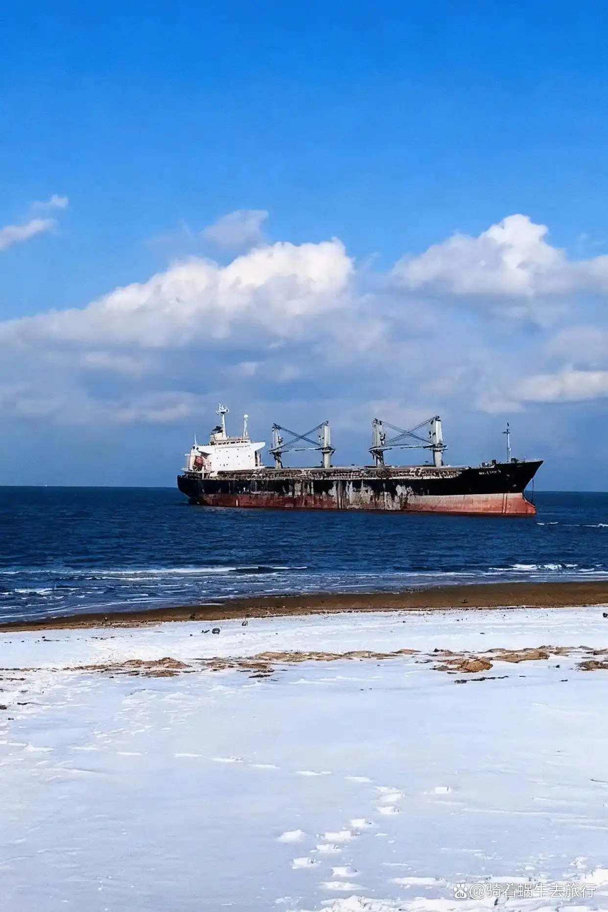 下雪后的威海，简直是童话照进现实️️！