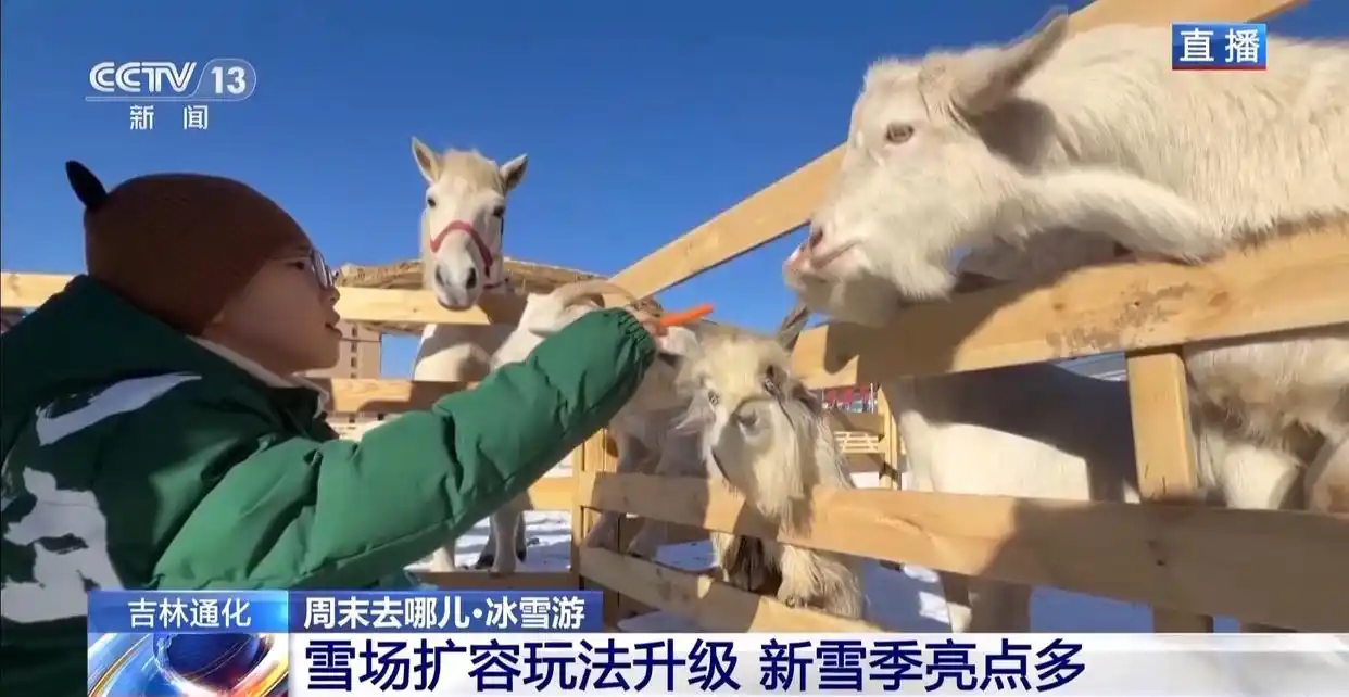 视频丨周末去哪玩？雪场“不打烊” 冰雪文旅一路畅游→