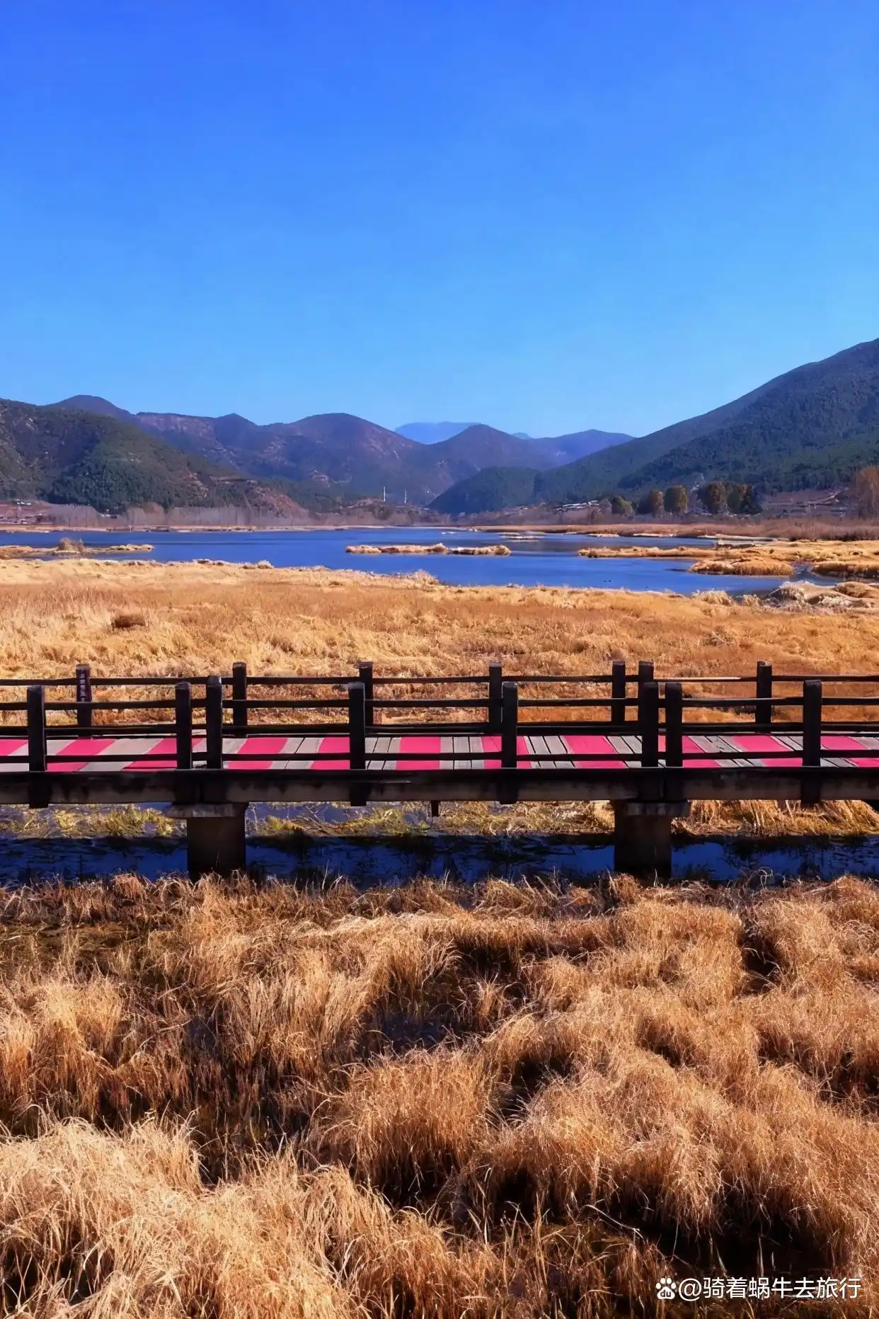 在泸沽湖拍到了人生画面，简直人间仙境！️