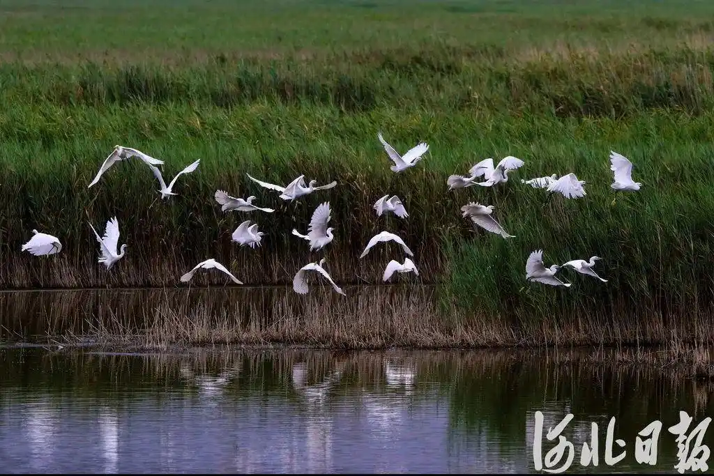 渤海滨海旅游带：碧海蓝天 岸线胜境