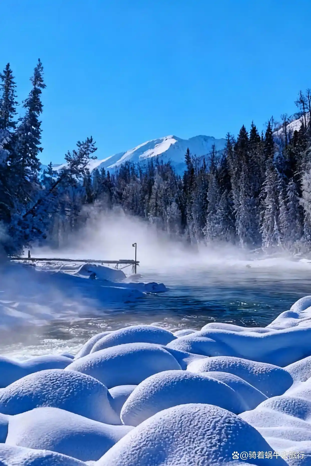 ️这个冬天，我们一起去阿勒泰看雪吧！