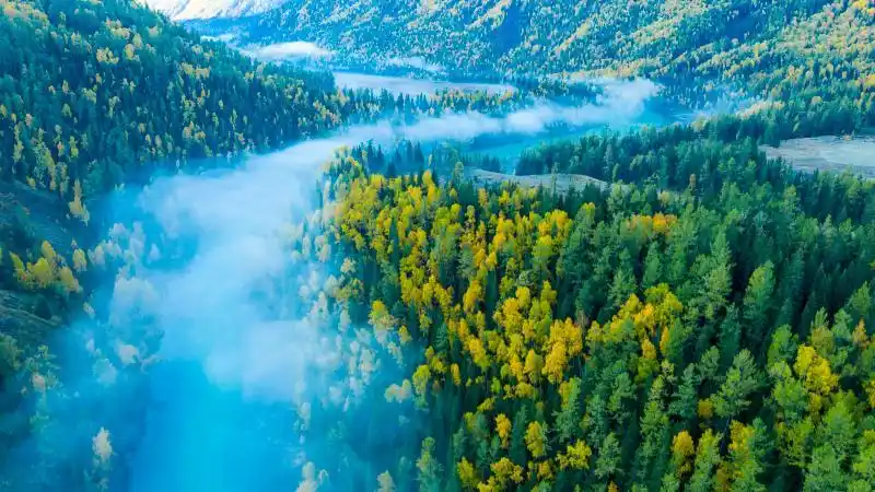 这里是新疆｜童话世界喀纳斯