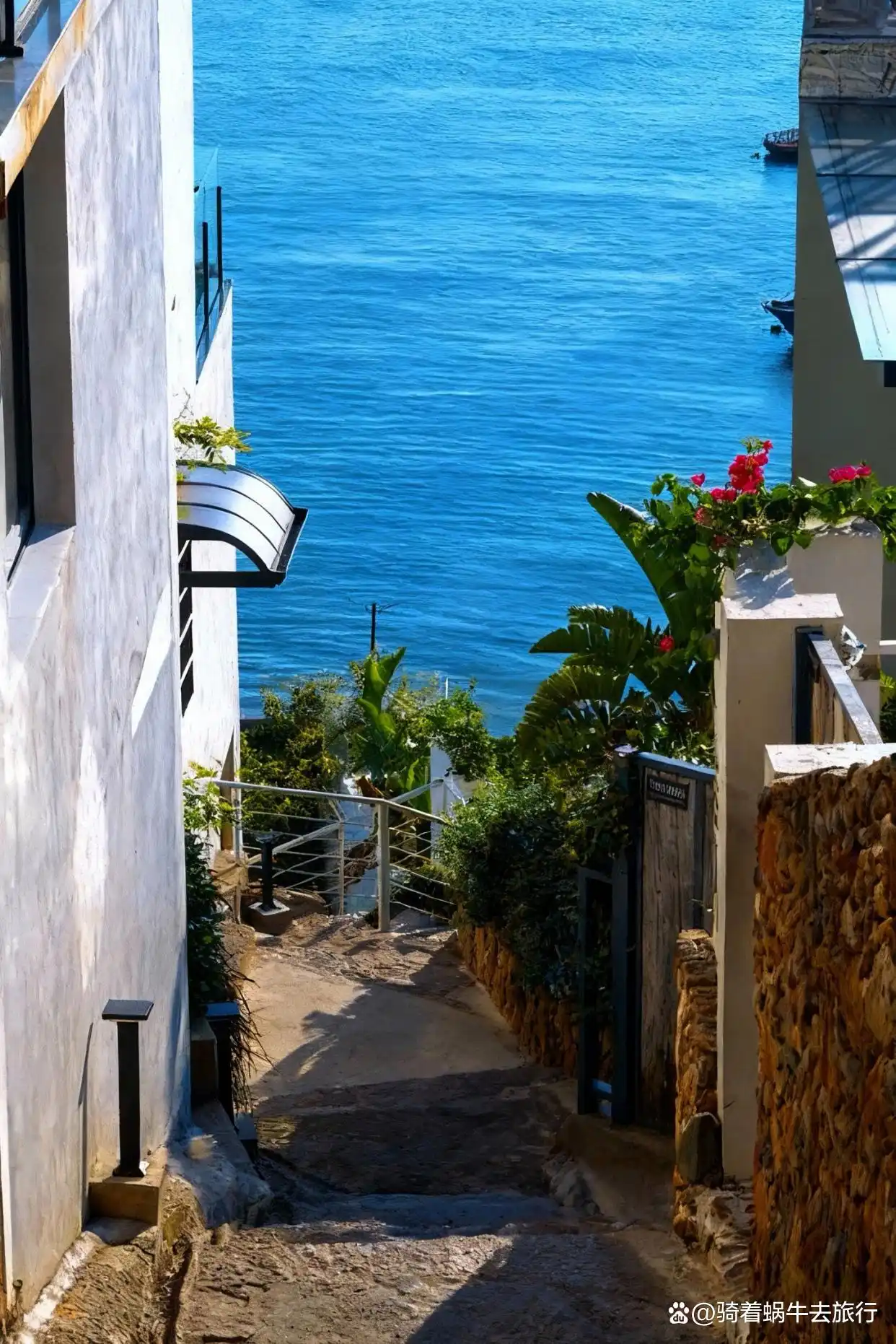 人回来了，心还在霞浦！