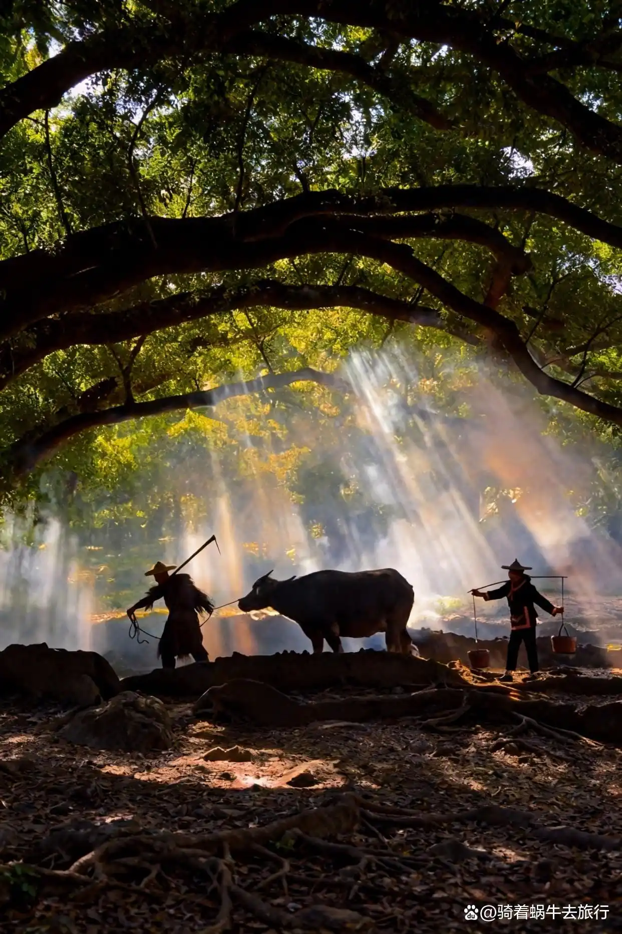 人回来了，心还在霞浦！