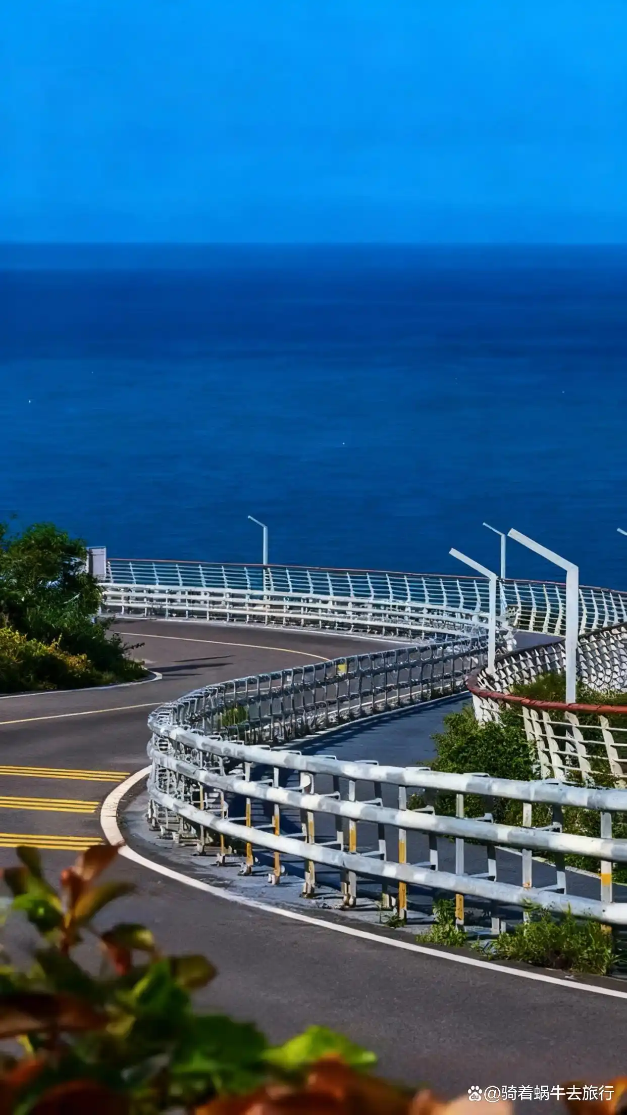 人回来了，心还在霞浦！