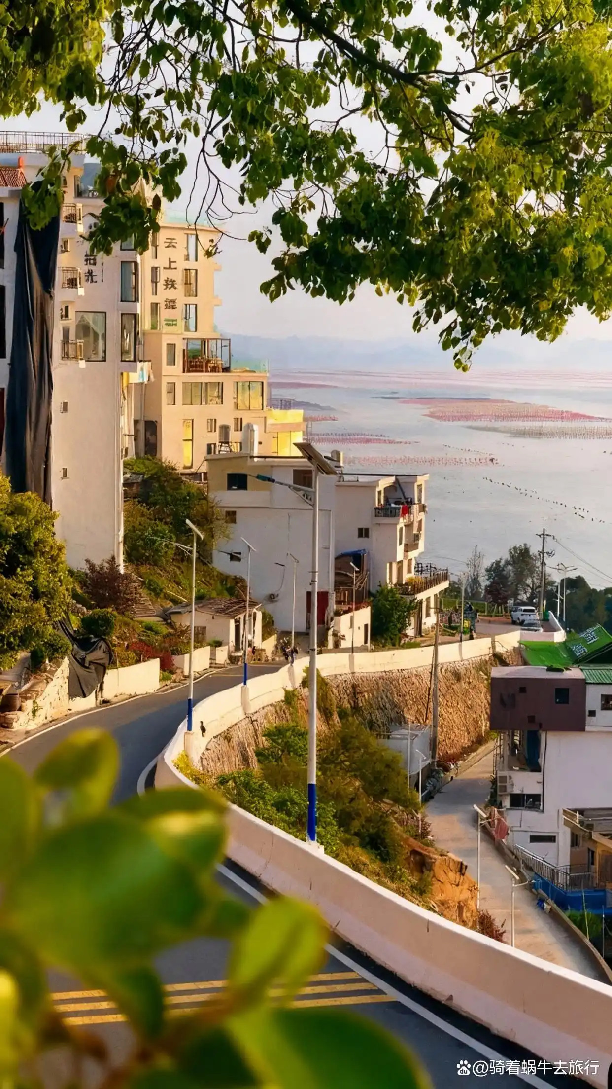 人回来了，心还在霞浦！