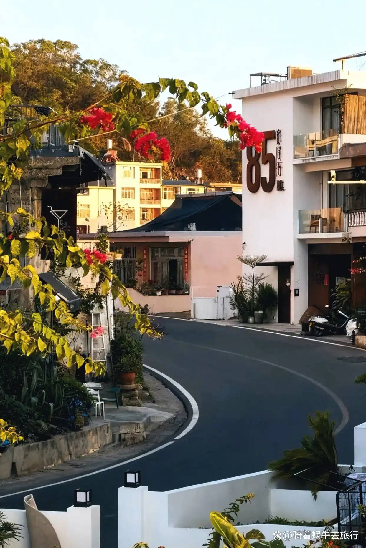 人回来了，心还在霞浦！