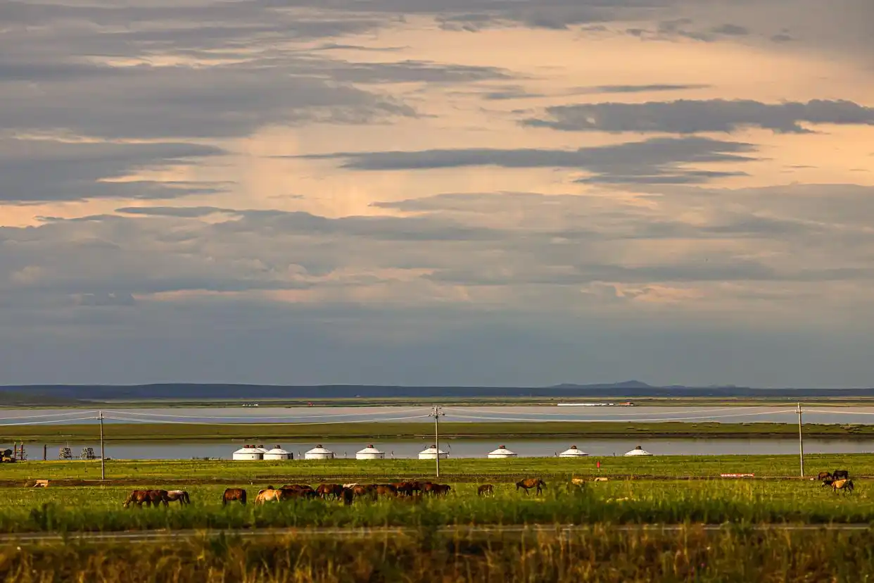 美丽中国丨呼伦贝尔大草原夏日即景